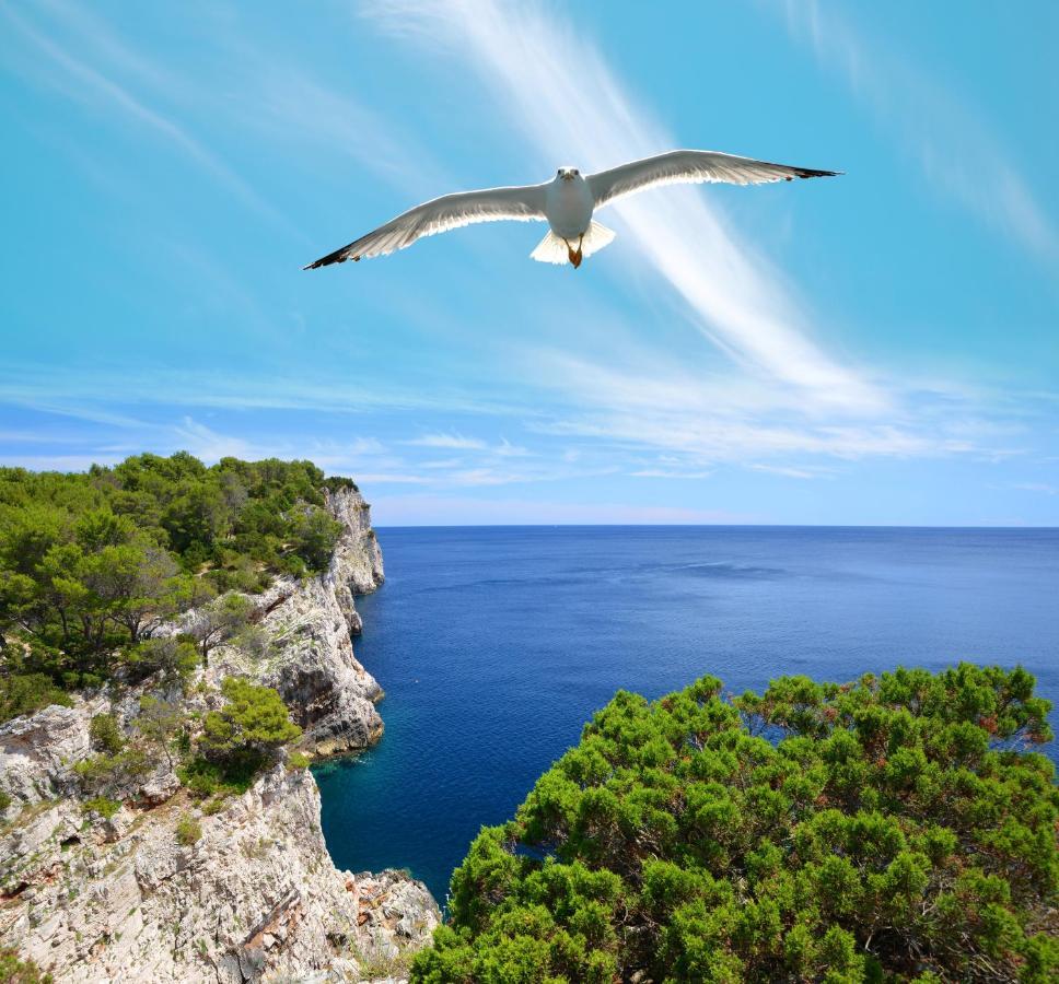 Pansion Alen - Dugi Otok Bed & Breakfast Luka  Luaran gambar