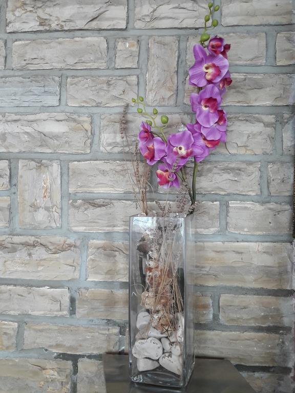 Pansion Alen - Dugi Otok Bed & Breakfast Luka  Luaran gambar